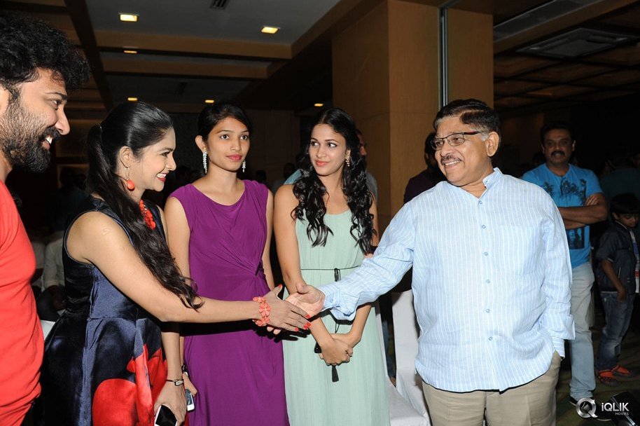 Bhale-Bhale-Magadivoy-Movie-Success-Meet